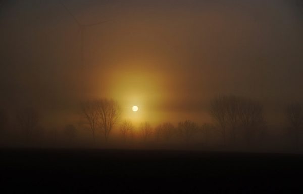 Unberührte Natur (Foto: Sylvi Raakow)