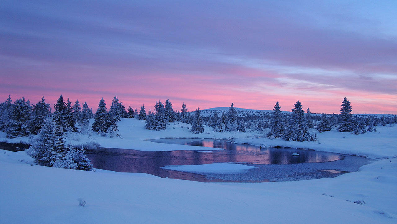 Wintermärchen in Norwegen (Foto: Manuela Hahnebach)