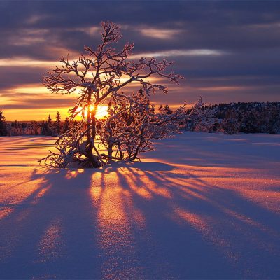 Wintersonne in Norwegen (Foto: Manuela Hahnebach)