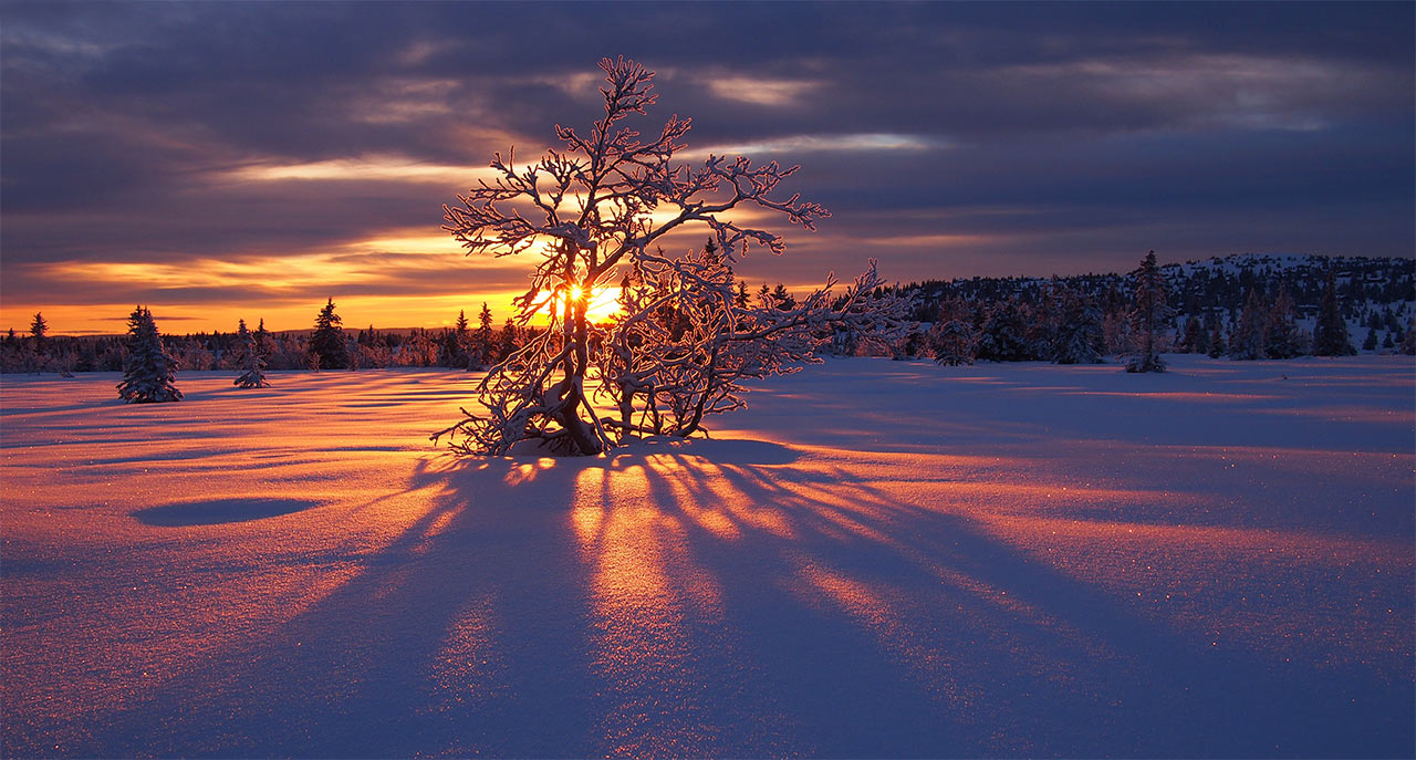 Wintersonne in Norwegen (Foto: Manuela Hahnebach)