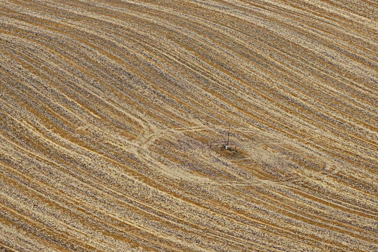 Serie: Abgeerntet (Foto: Roland Kastner)