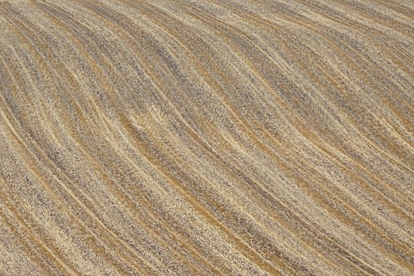 Serie: Abgeerntet (Foto: Roland Kastner)