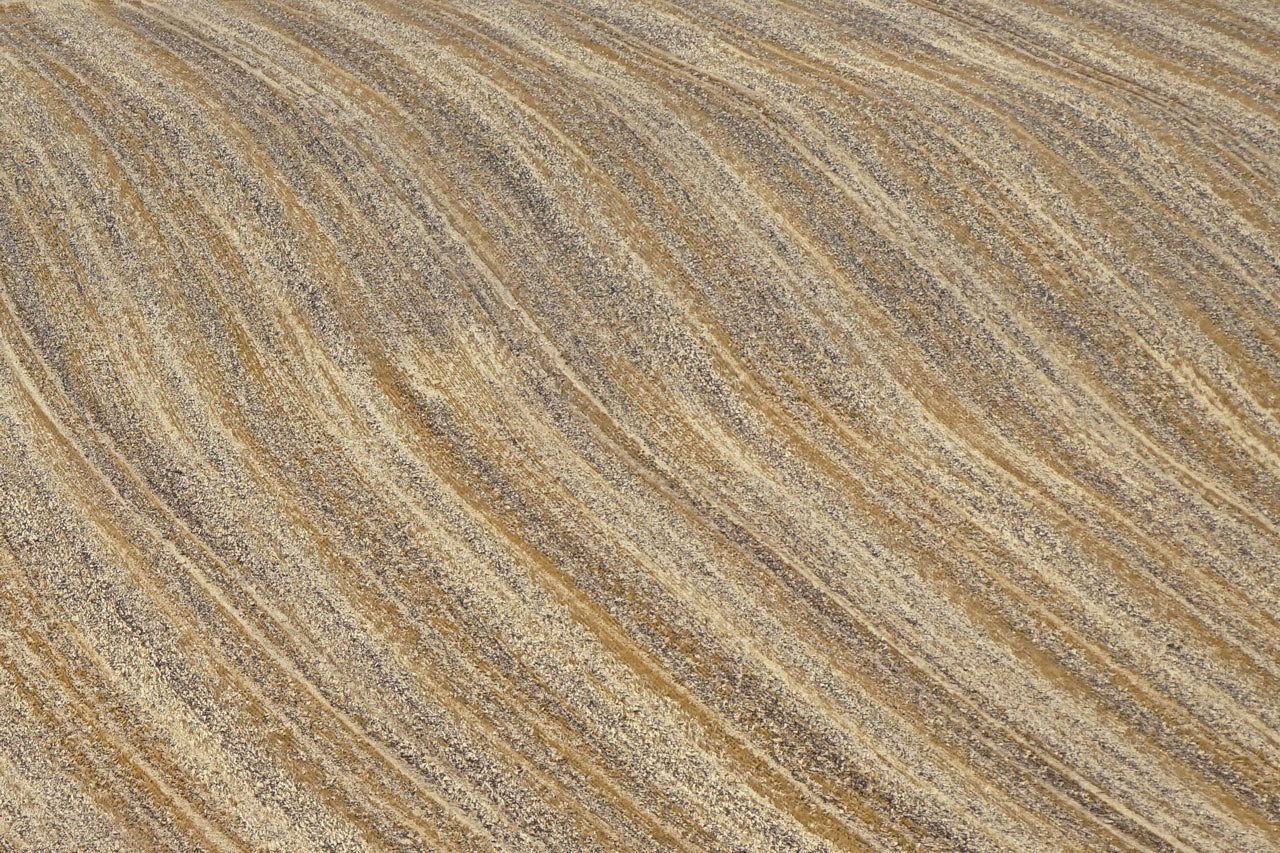 Serie: Abgeerntet (Foto: Roland Kastner)