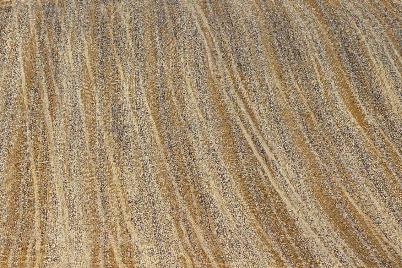 Serie: Abgeerntet (Foto: Roland Kastner)