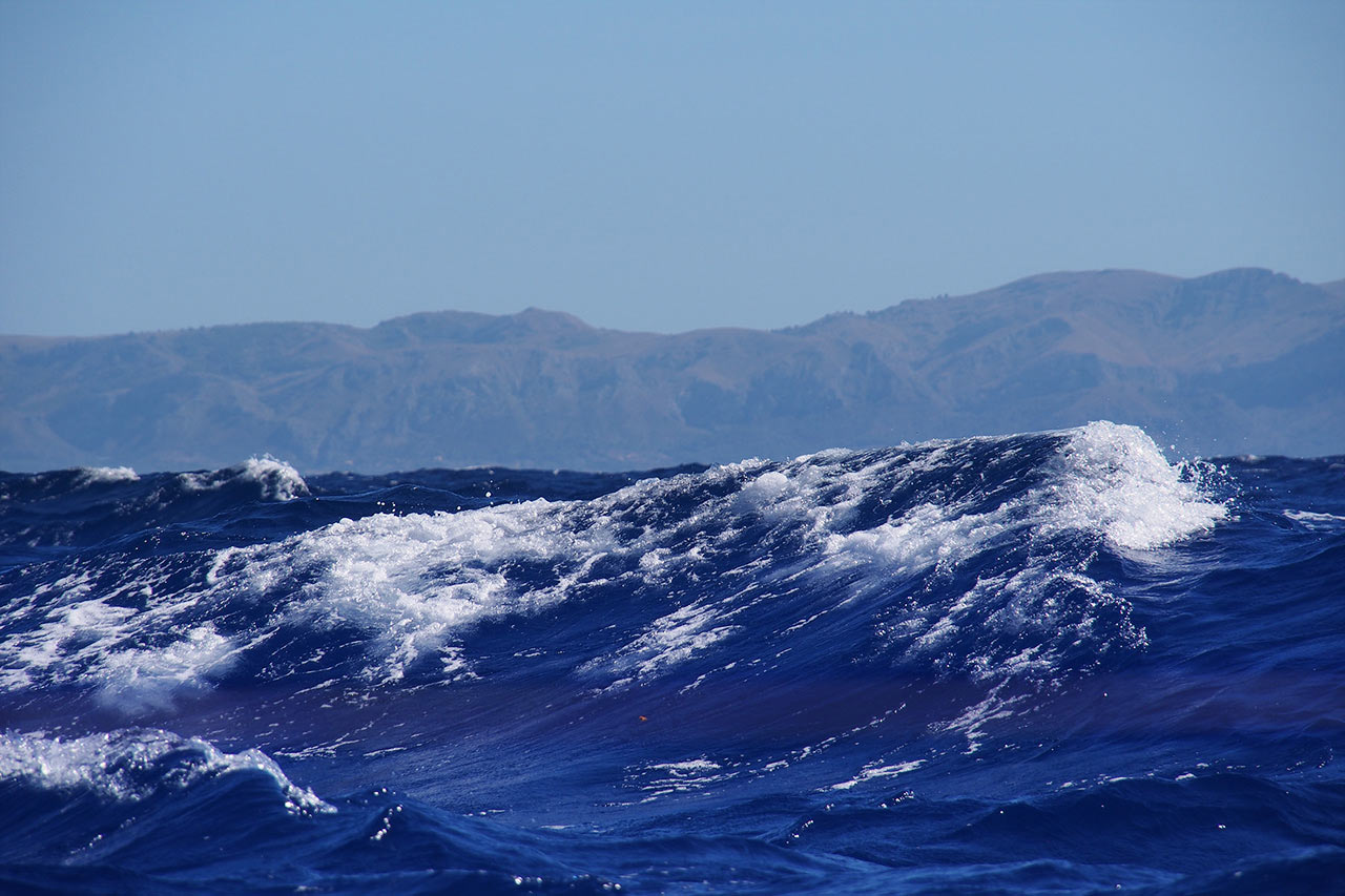 Serie: Die Welle (Foto: Manuela Hahnebach)