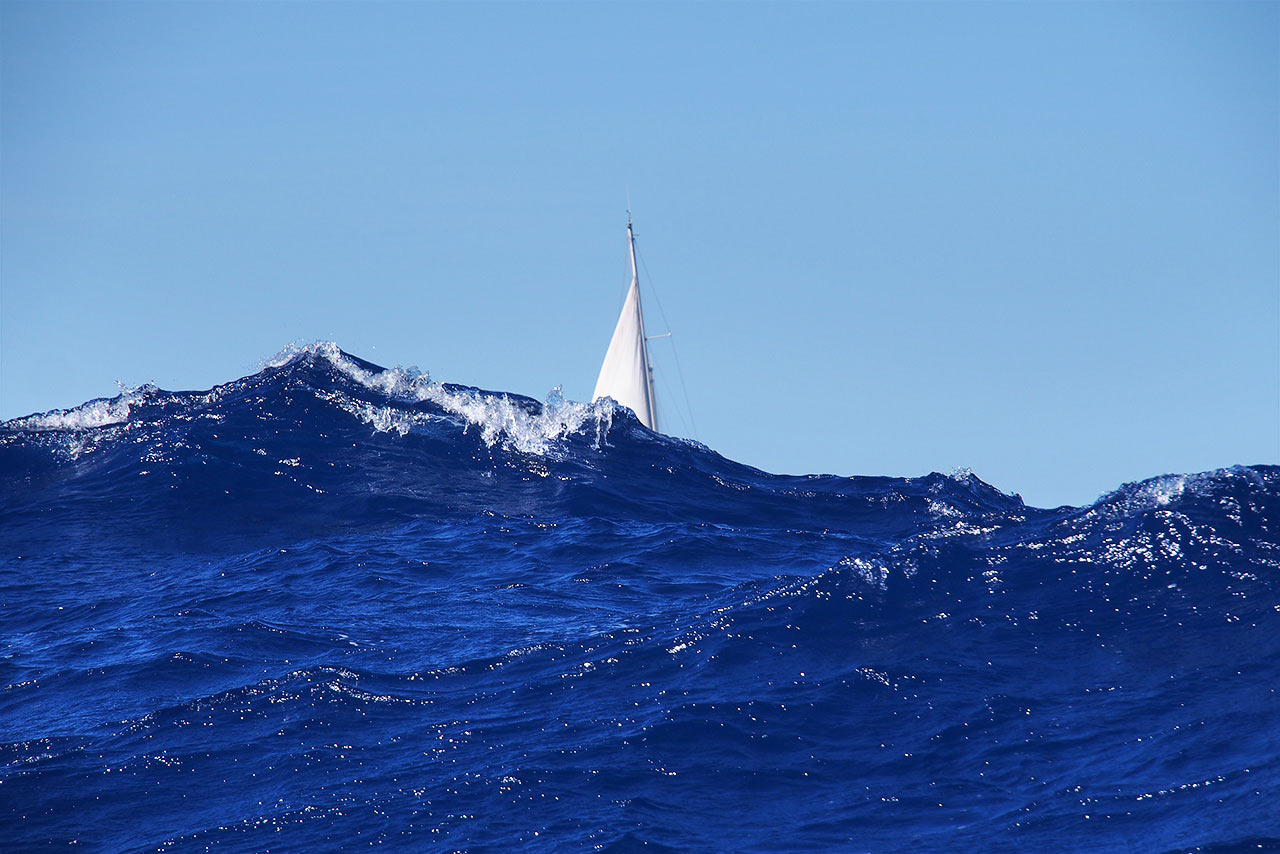 Serie: Die Welle (Foto: Manuela Hahnebach)