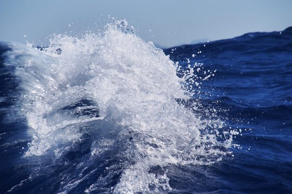 Serie: Die Welle (Foto: Manuela Hahnebach)