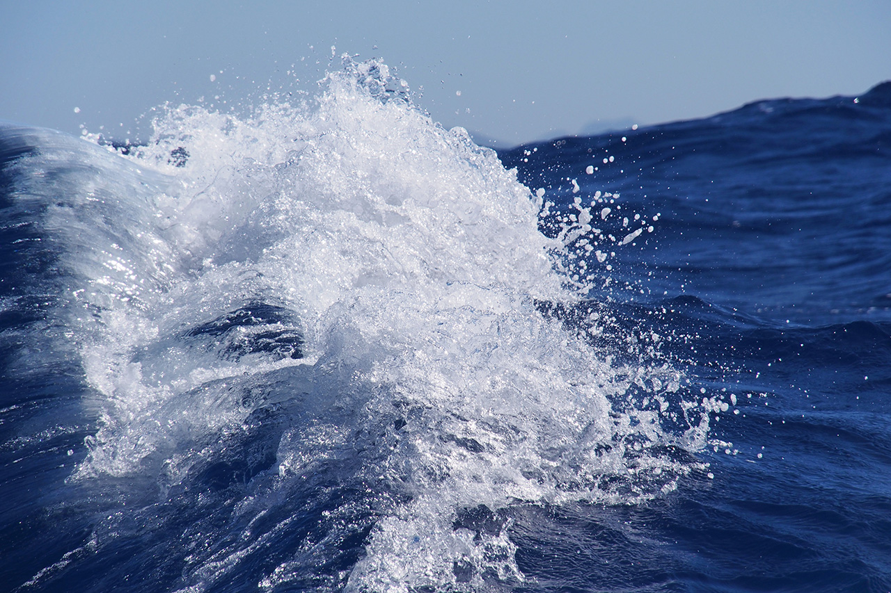 Die Welle 3 (Foto: Manuela Hahnebach)