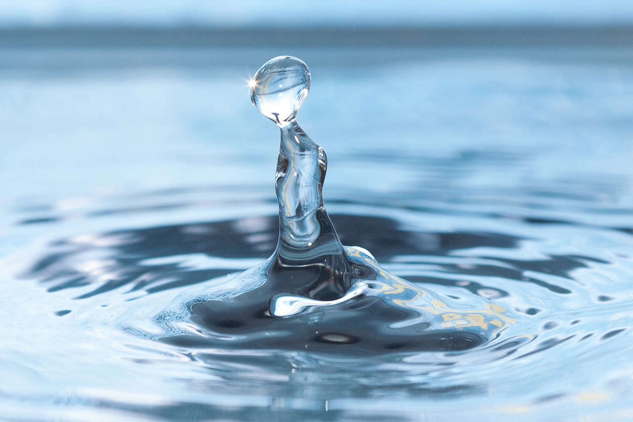 Lebenselixier (Foto: Sylvie Raakow)