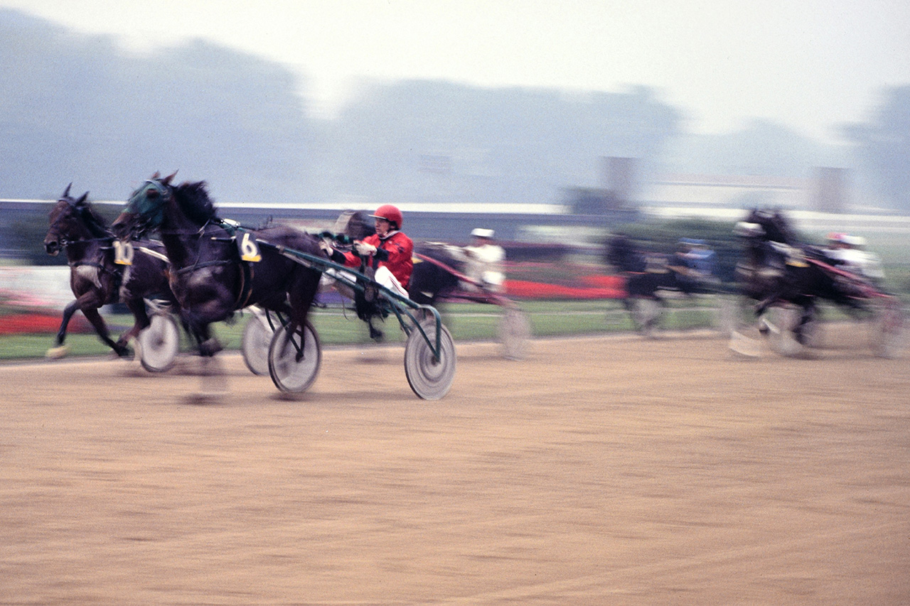 Pferderennen (Foto: Manfred Hiersemann)