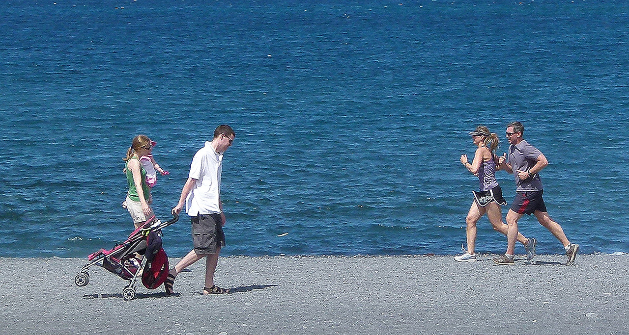 Strandläufer (Foto: Karl-Heinz Richter)
