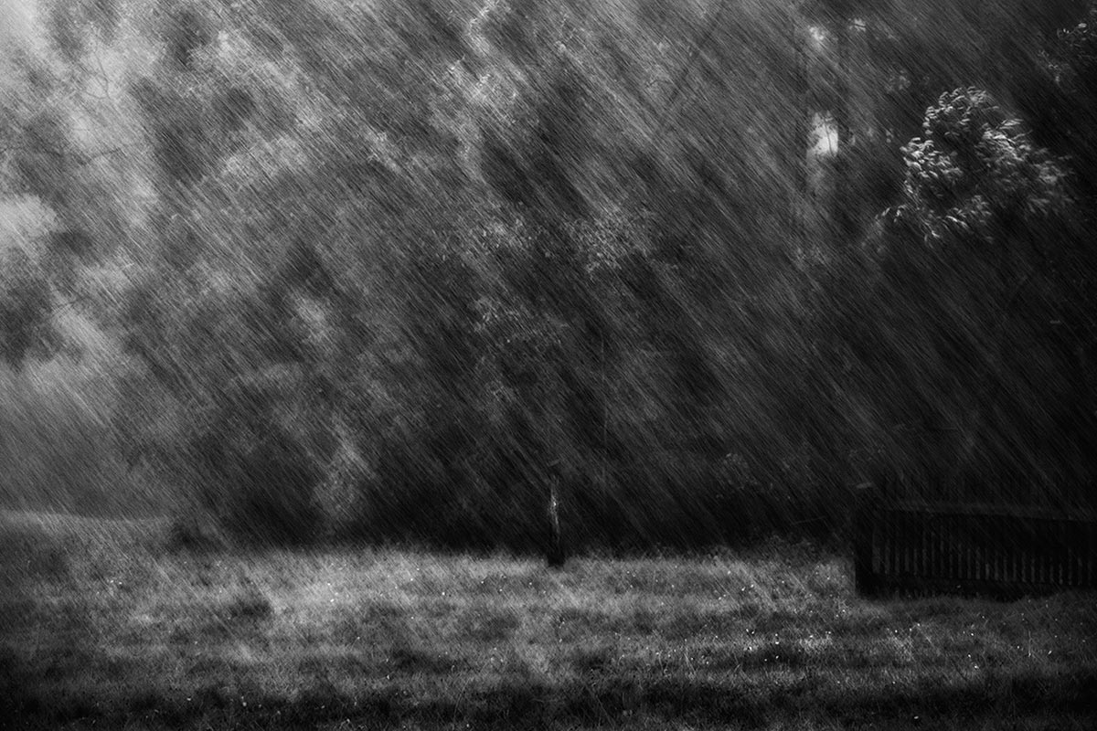 Augustregen (Foto: Ulyana Bardsiy)