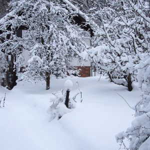 <b>21.12.2021</b> Fotoclub-Weihnachtsfeier in Günters Garten