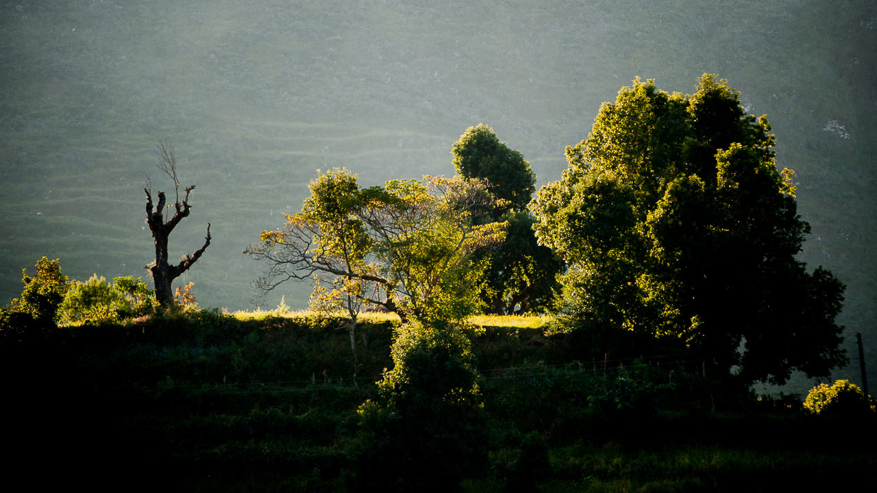 Letztes Abendlicht (Foto: Uli Pfeufer)