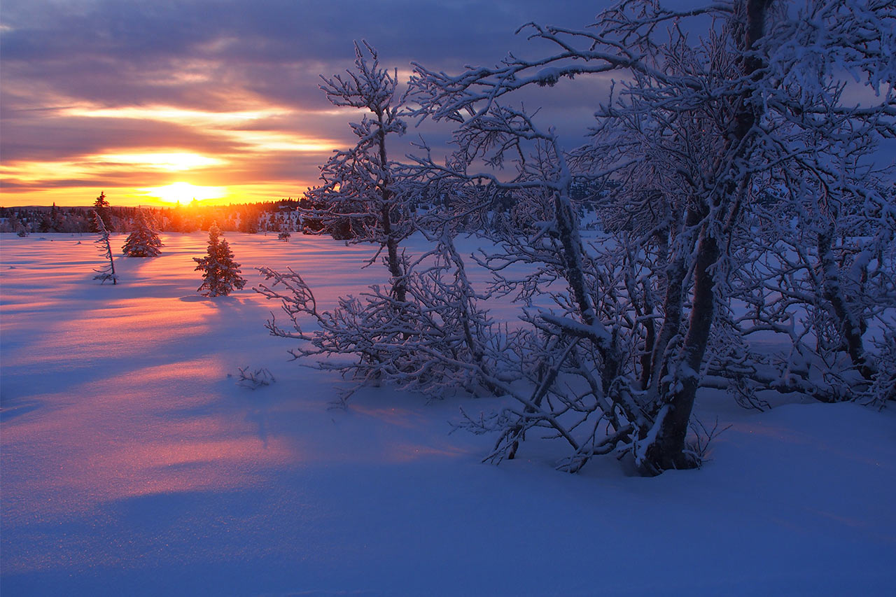 Licht am Horizont (Foto: Andreas Kuhrt)