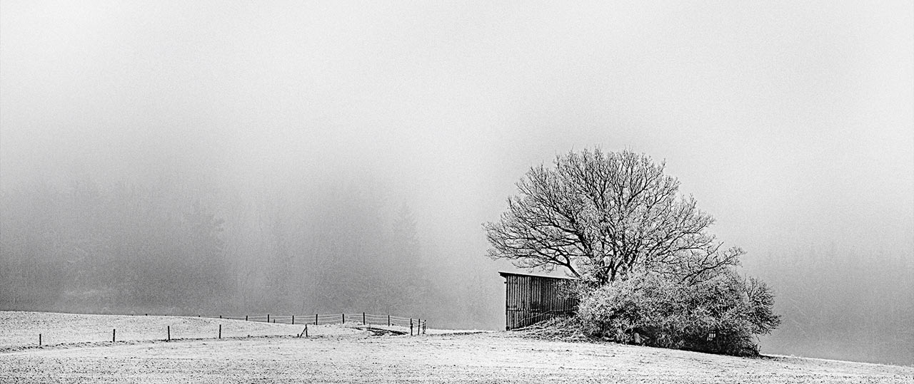 Nebel (Foto: Frank Hausdörfer)