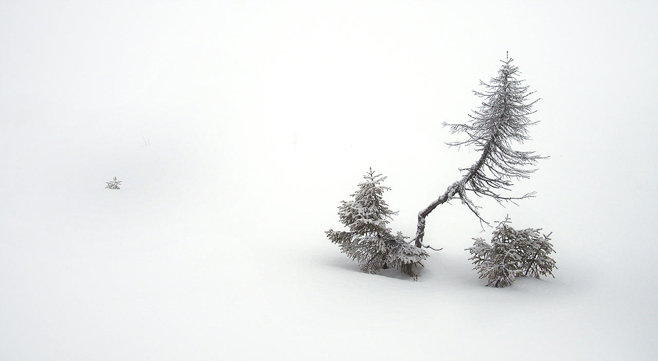 Sommer-Fotoclub bei PMS