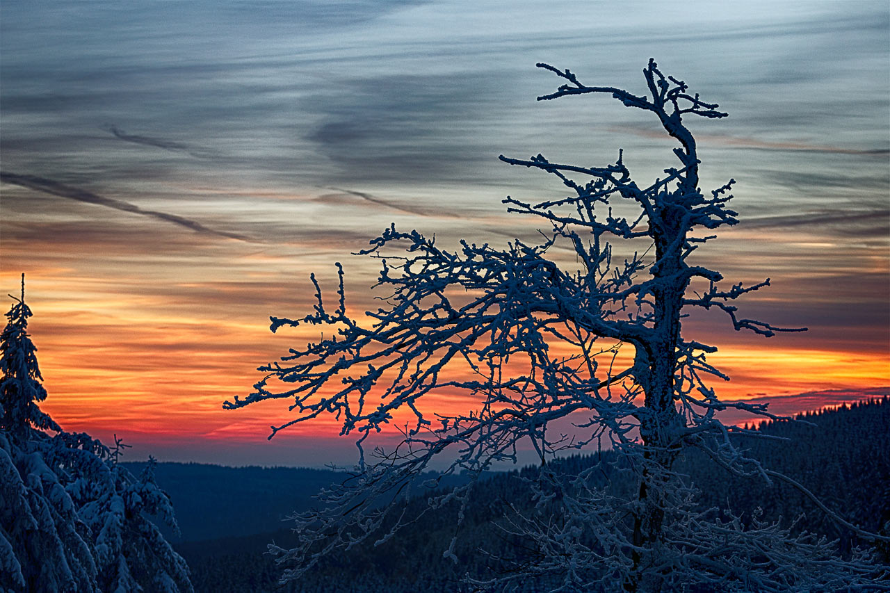 Winterabend (Foto: Frank Hausdörfer)