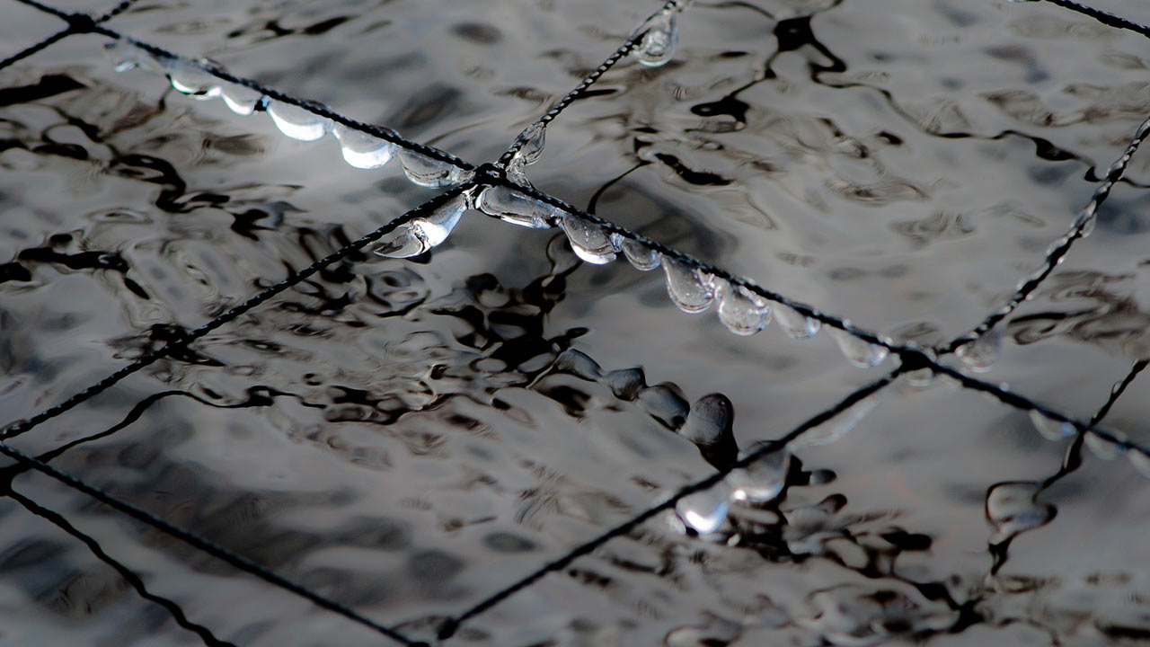 2017-03-13-erstarrt-upf-6 Erstarrt (Foto: Uli Pfeufer)