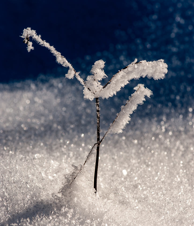 2017-03-17-fragil-upf-6.33 Fragil (Foto: Uli Pfeufer)