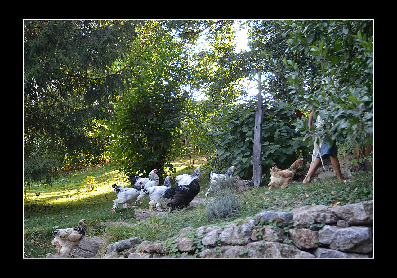 2017-03-18-Gefolge-gg-5.33 Gefolge (Foto: Günter Giese)