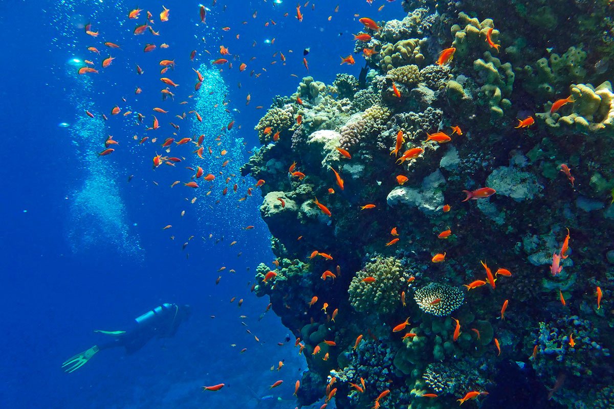 2017-03-22-lagune-km-6 Lagune (Foto: Klaus Müller)