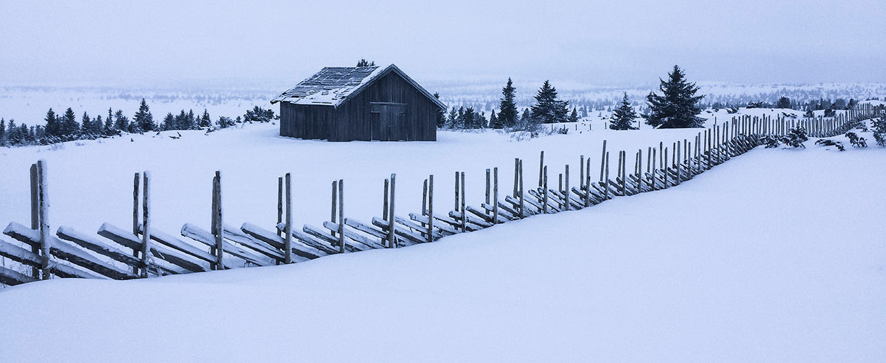 2017-03-34-winter-zaun-mh-6 Winter-Zaun (Foto: Manuela Hahnebach)