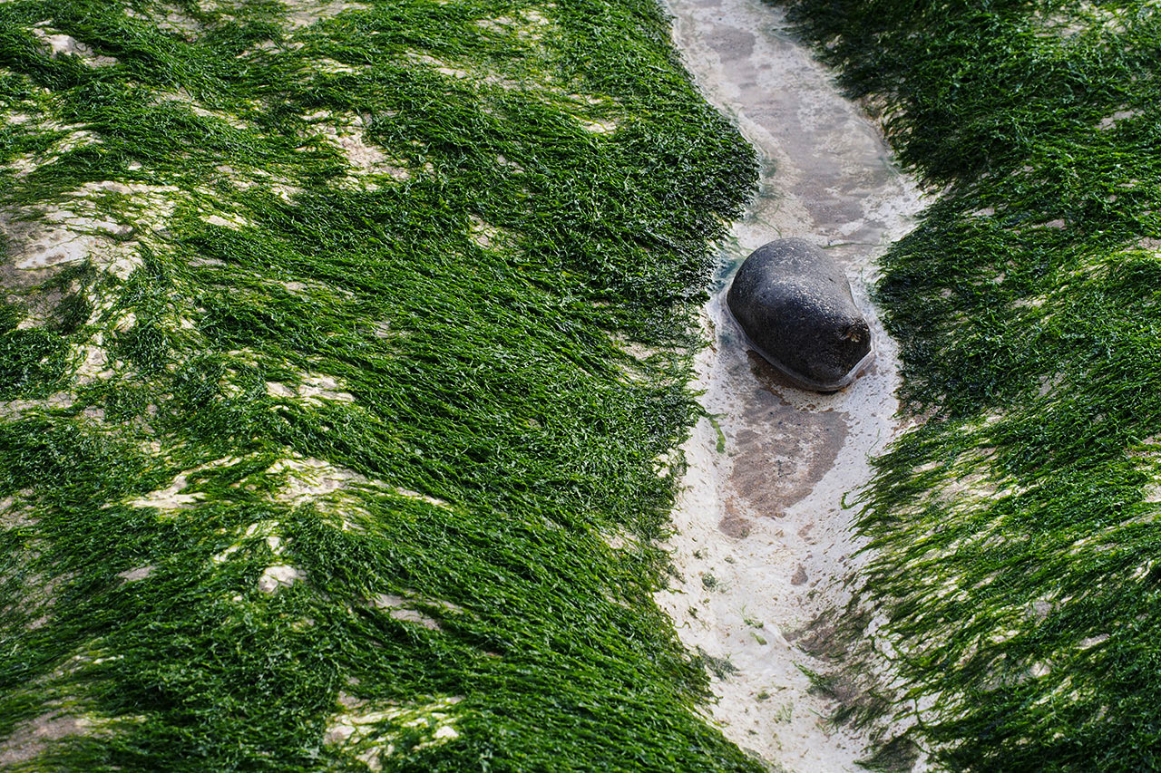 2017-03-zz04-2-tang-mh-5 Serie: Tang (Foto: Manuela Hahnebach)