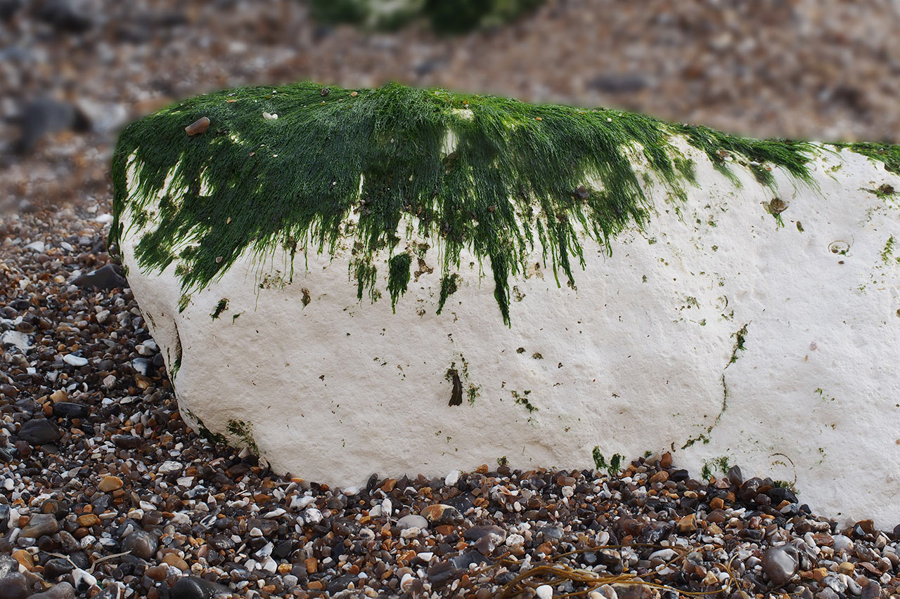 2017-03-zz04-3-tang-mh-5 Serie: Tang (Foto: Manuela Hahnebach)