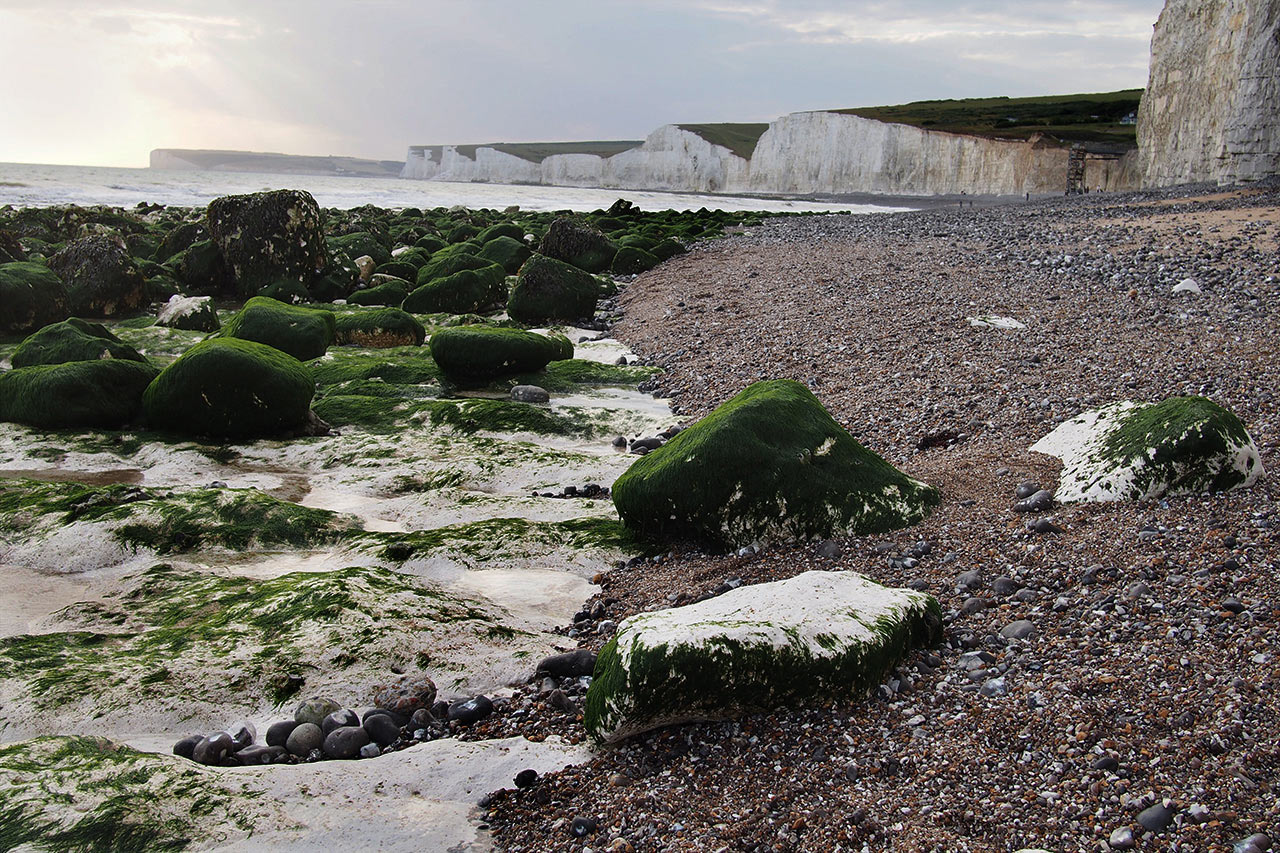 2017-03-zz04-4-tang-mh-5 Serie: Tang (Foto: Manuela Hahnebach)