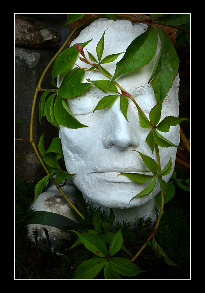 2017-03-zz07-1-Wachsen-gg-6.33 Serie: Wachsen (Foto: Günter Giese)