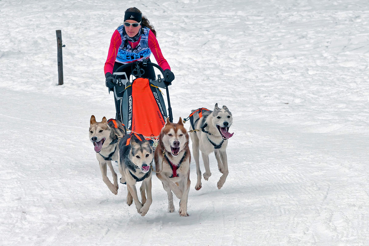 2017-03-zz10-5-Husky-km-6.66 Serie: Husky (Foto: Klaus Müller)