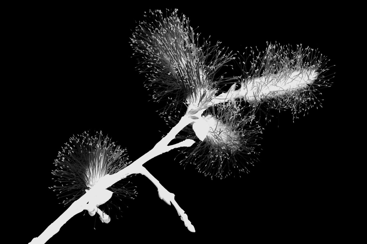 2017-04-16-nega-tif-UPF-6 Nega-tif (Foto: Uli Pfeufer)