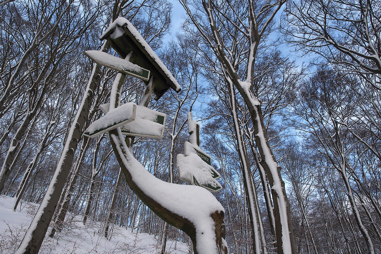 2017-04-20-Schneereich-P0059299-AK-5.66 Schneereich (Foto: Andreas Kuhrt)