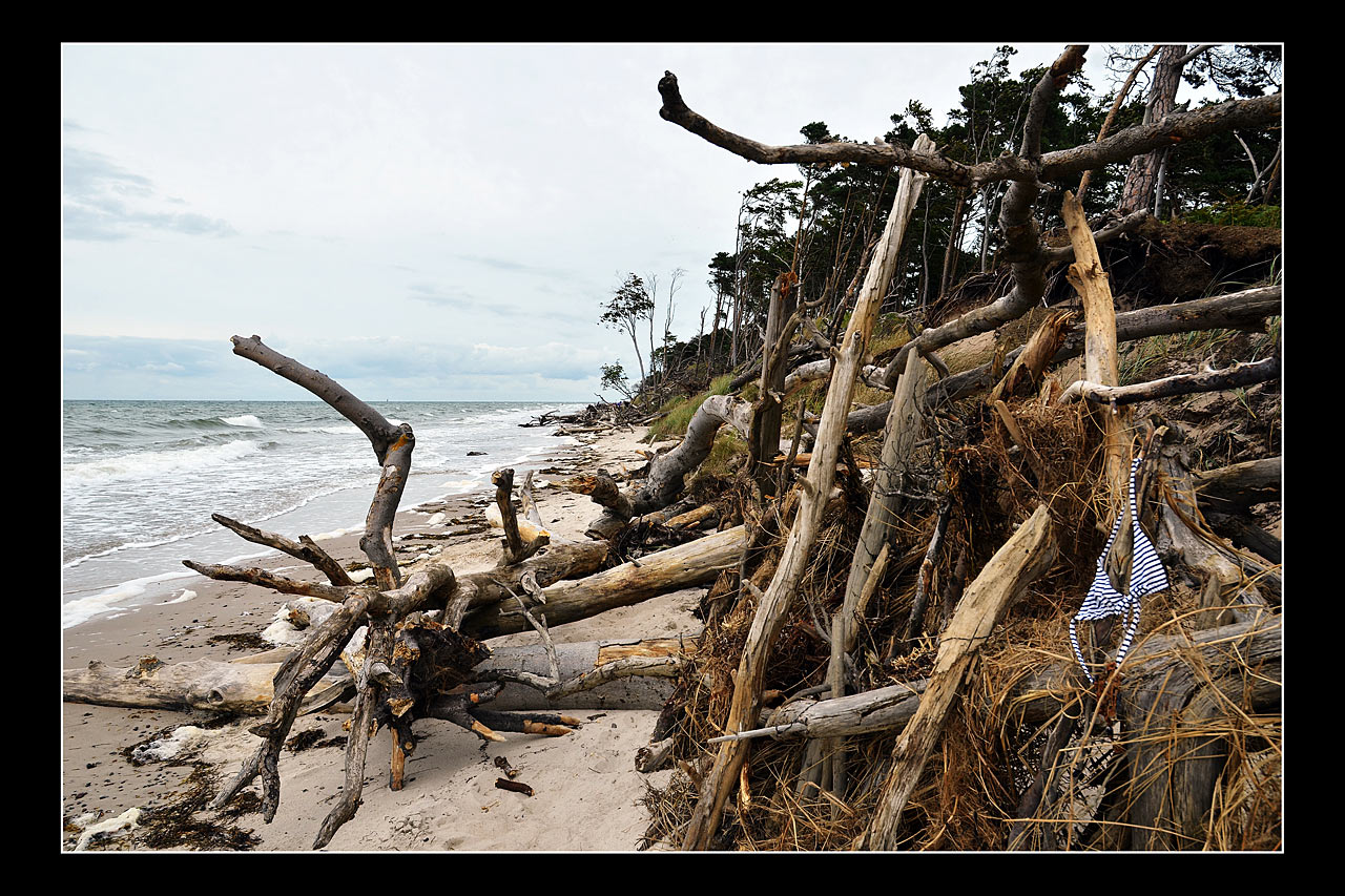 2017-04-21-Vergessen-GG-5.5 Vergessen (Foto: Günter Giese)