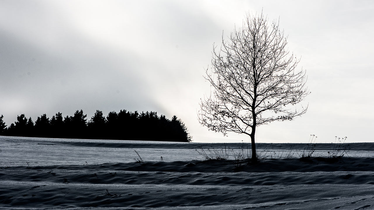 2017-04-27-winterlandschaft-UPF-6 Winterlandschaft (Foto: Uli Pfeufer)