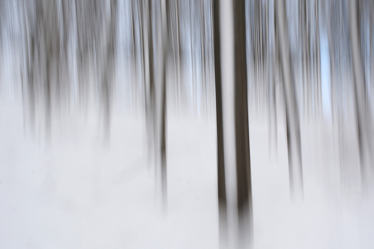 2017-04-28-Winter-Wisch-Wald-P0059275-AK-7-1 Winter-Wisch-Wald (Foto: Andreas Kuhrt)