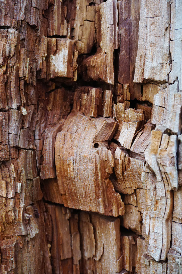 2017-04-zz01-1-Zeitspuren-SR-5.33 Serie: Zeitspuren (Foto: Sylvi Raakow)