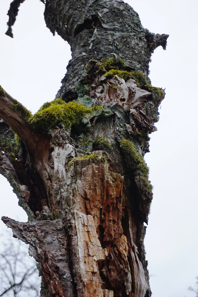 2017-04-zz01-3-Zeitspuren-SR-5.33 Serie: Zeitspuren (Foto: Sylvi Raakow)