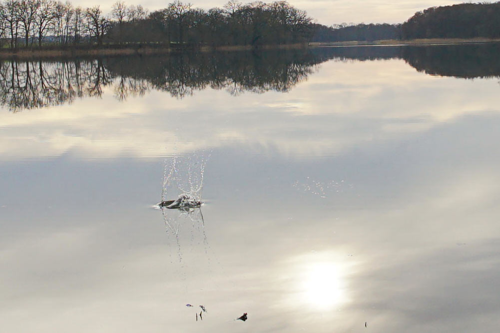 2017-04-zz02-1-Aufschlag-ROK-4.66 Serie: Aufschlag (Foto: Roland Kastner)