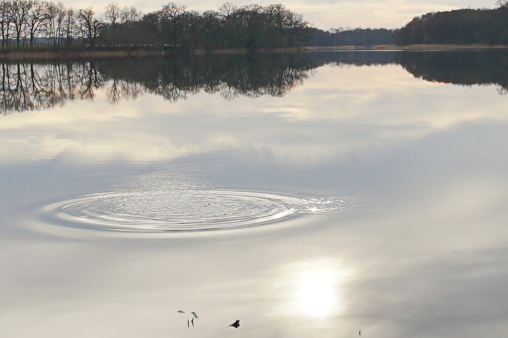 2017-04-zz02-4-Aufschlag-ROK-4.66 Serie: Aufschlag (Foto: Roland Kastner)
