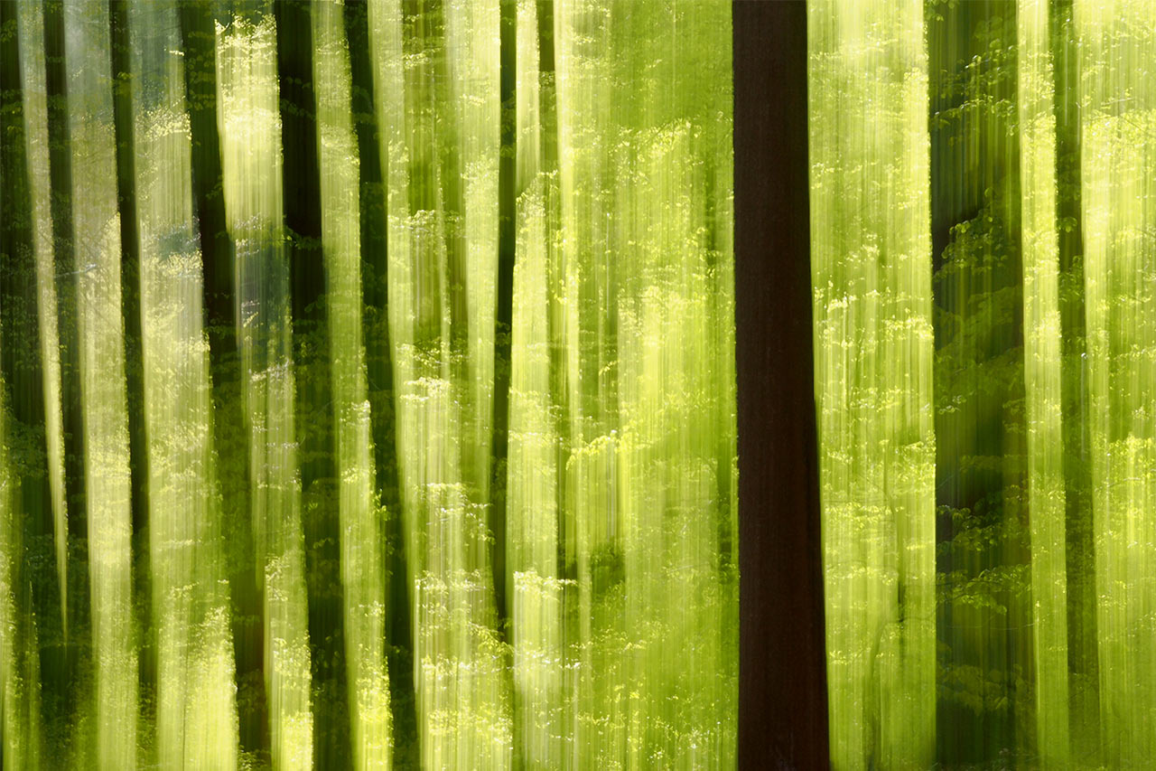 Kein Fotoclub