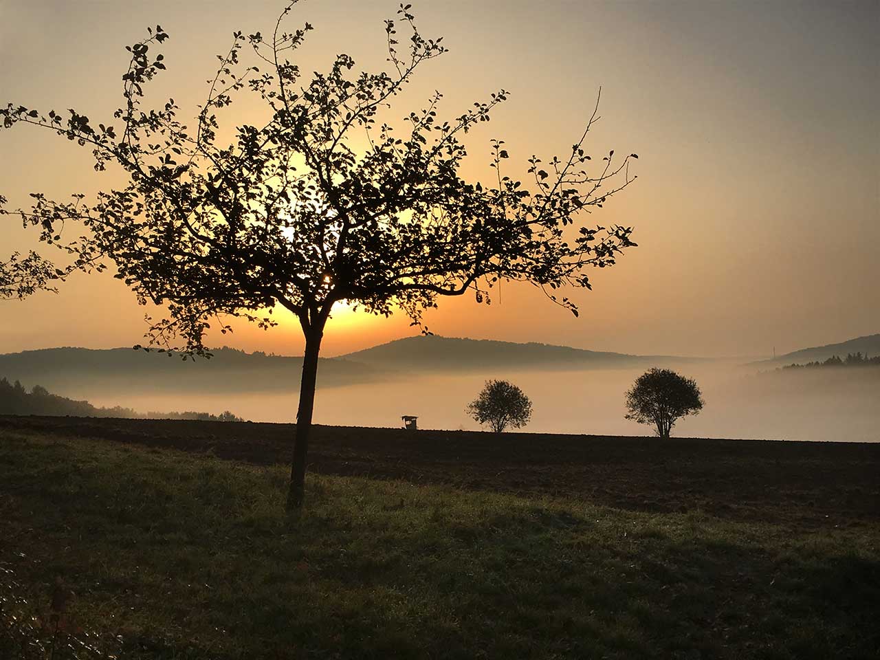 2017-Bild-des-Jahres-50-morgennebel-MH-6 Morgennebel (Foto: Manuela Hahnebach)
