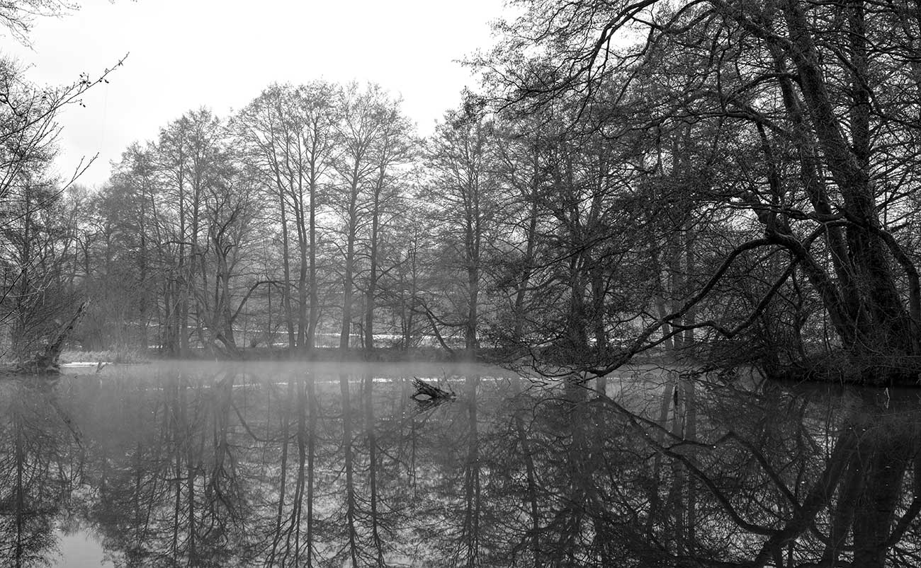 Fotoclub