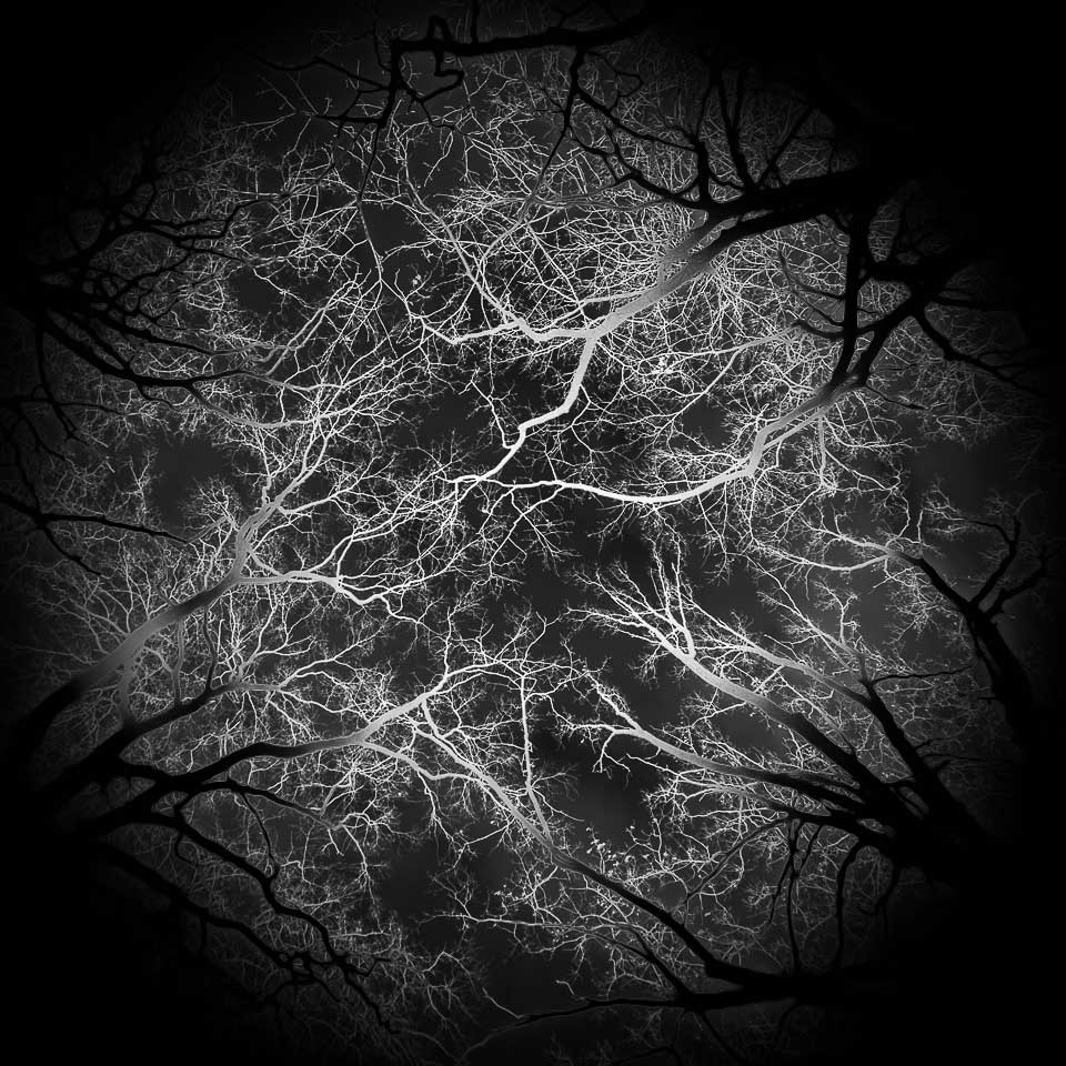 Fotoclub: Bild des Monats 10.2023