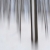 Winter-Wisch-Wald (Foto: Andreas Kuhrt)