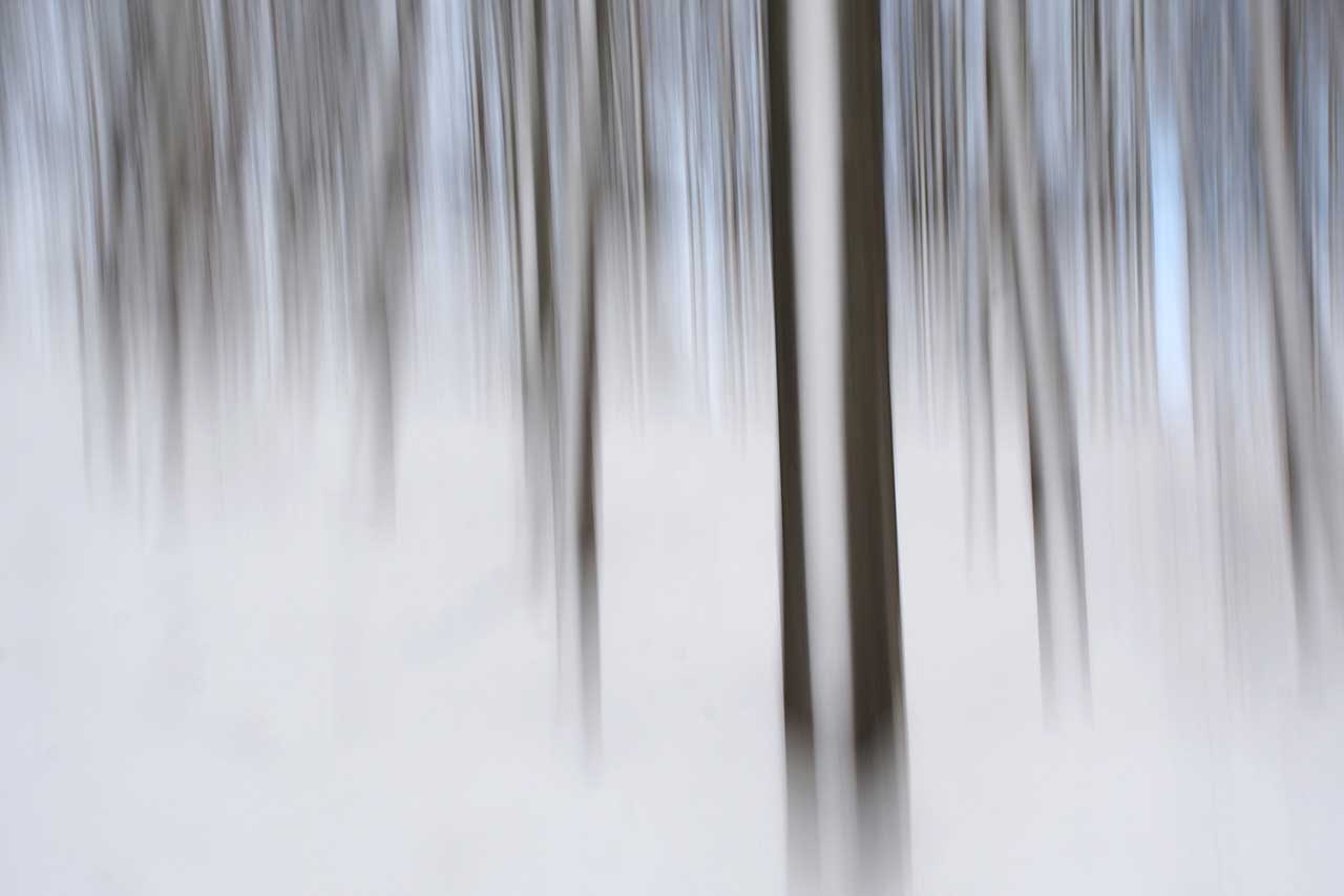 2017-Bild-des-Jahres-84-Winter-Wisch-Wald-AK-8.33 Winter-Wisch-Wald (Foto: Andreas Kuhrt)