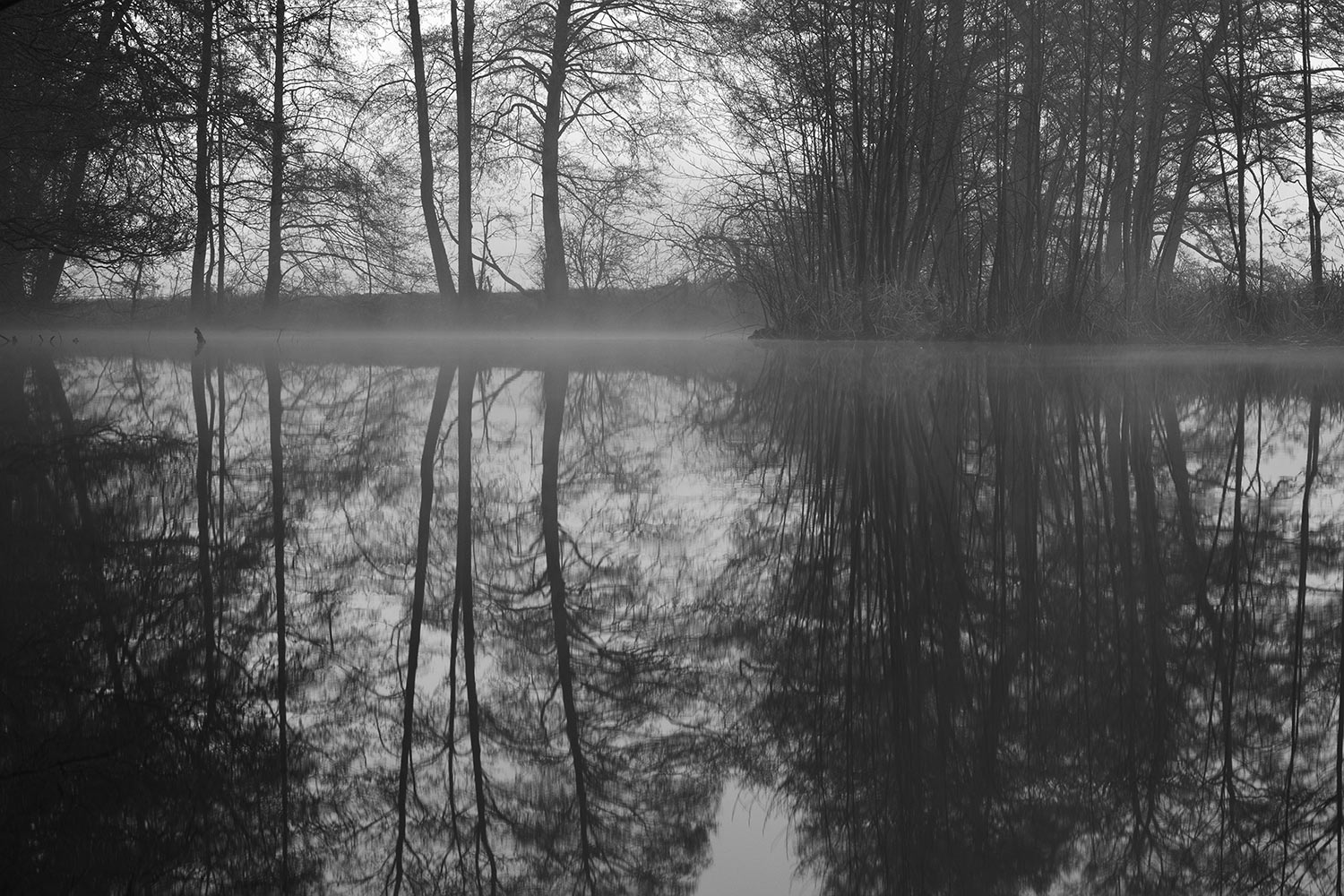 Kein Fotoclub