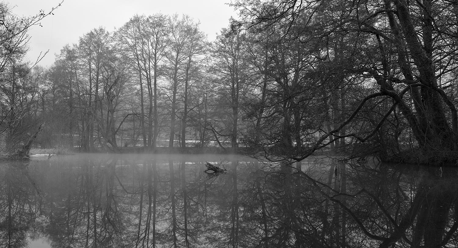Fotoclub: Bild des Monats 06.2022