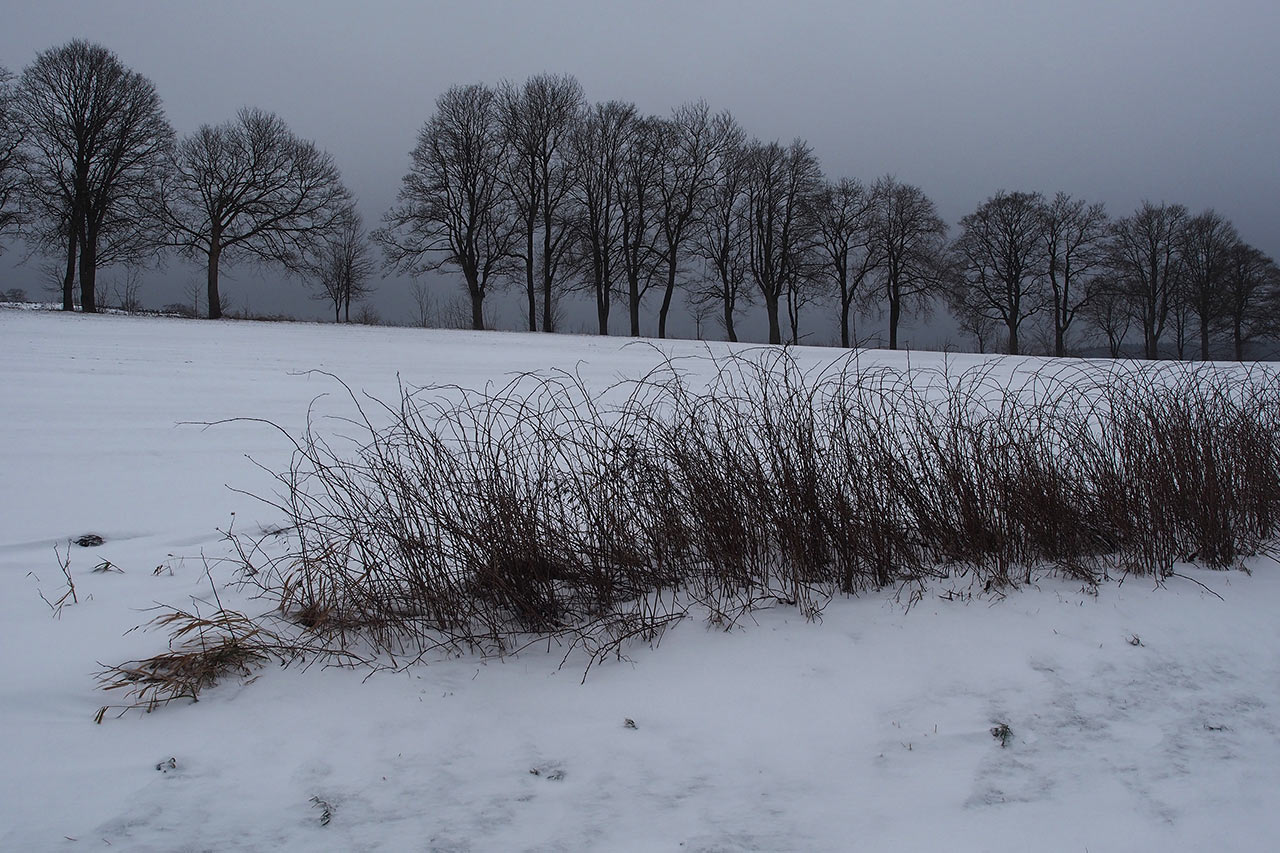 Fotoclub: Bild des Monats 4.2020 online?